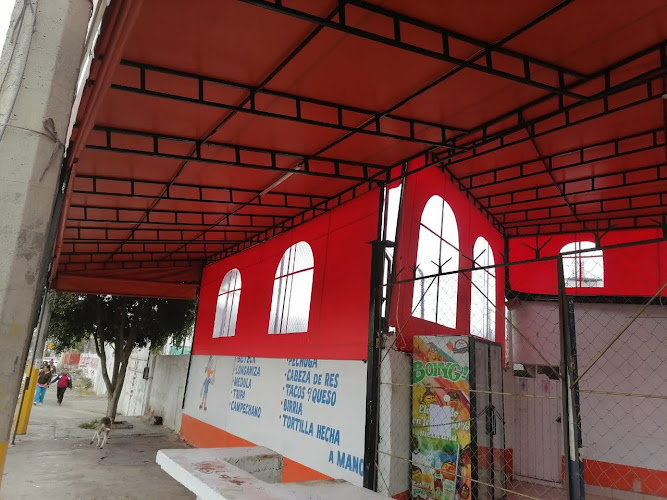 PUBLI COLOR OPINIONES